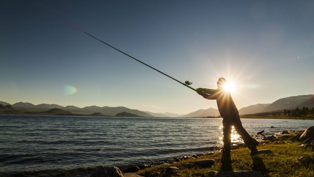 Spring time for catfish